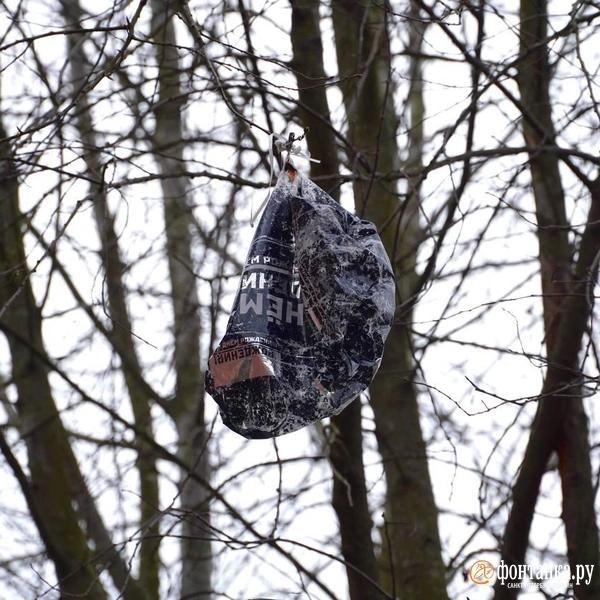 &laquo;И сразу вспышка, бабах!&raquo; Первые кадры и комментарии из Кронштадта после сегодняшней ночи