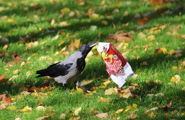 "Задеть может любого":