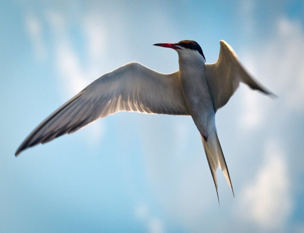 "Задеть может любого":