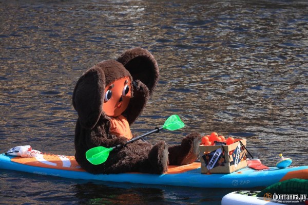 Грибы и зомби на сапах снова становятся людьми. Состоялся карнавальный заплыв &laquo;Фонтанка SUP-2023&raquo;