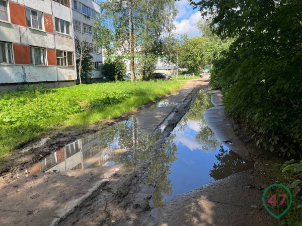 &laquo;Вернуть квартиру помогала "ФСБ"&raquo;. Как голоса в WhatsApp довели пенсионера до поджога и смерти