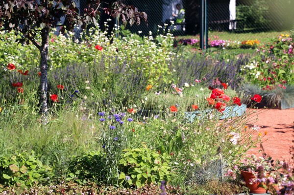 Куда пойти 25&ndash;27 августа: &laquo;Ленинградские мосты&raquo;, Epic Con и встреча с Сокуровым