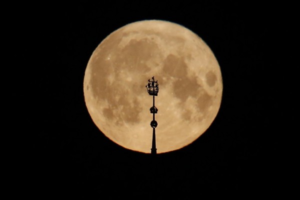 Куда пойти 25&ndash;27 августа: &laquo;Ленинградские мосты&raquo;, Epic Con и встреча с Сокуровым