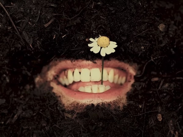 Музыка августа: обзор новых альбомов Элиса Купера, Hozier, &laquo;Курары&raquo; и не только