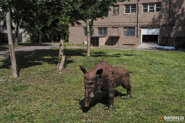Инженеры вместо айтишников и концерты под открытым небом. Как за два года изменился ДК имени Кирова