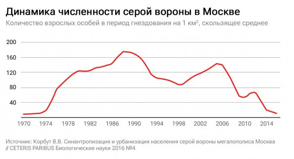 "Задеть может любого":