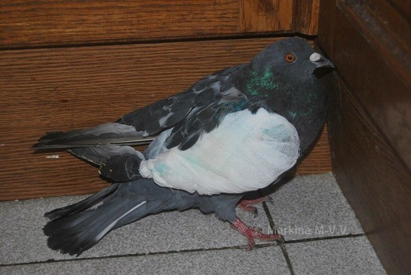 "Задеть может любого":