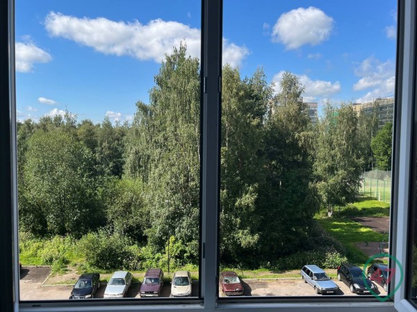 &laquo;Вернуть квартиру помогала "ФСБ"&raquo;. Как голоса в WhatsApp довели пенсионера до поджога и смерти