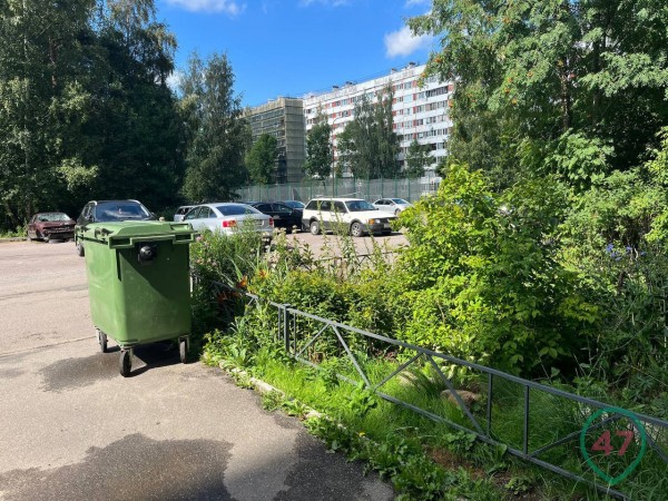 &laquo;Вернуть квартиру помогала "ФСБ"&raquo;. Как голоса в WhatsApp довели пенсионера до поджога и смерти