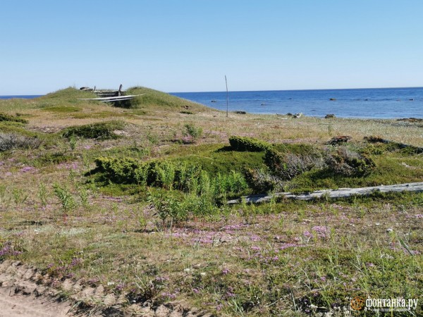 &laquo;Денег не берем, это не по-северному&raquo;. Как музей в нежилой деревне на берегу Белого моря сохраняет память места