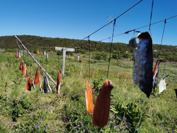 &laquo;Денег не берем, это не по-северному&raquo;. Как музей в нежилой деревне на берегу Белого моря сохраняет память места