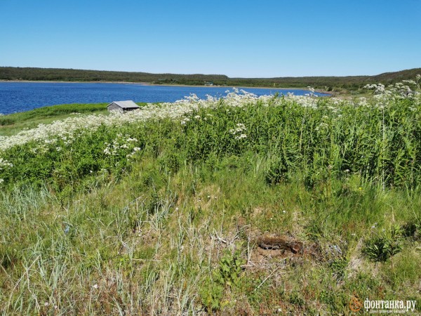 &laquo;Денег не берем, это не по-северному&raquo;. Как музей в нежилой деревне на берегу Белого моря сохраняет память места