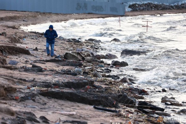 Как выглядит Парк 300-летия в Петербурге после шторма. &laquo;Фонтанка&raquo; узнала, кто и когда приведет его в порядок