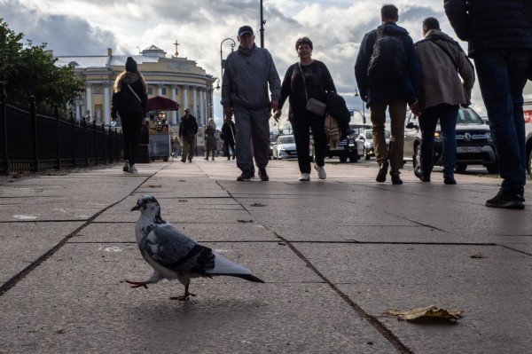 Куда пойти 13&ndash;15 октября: &laquo;Сарай&raquo; в Фонтанном доме, &laquo;Неопознанная Ленинградская область&raquo; и маленькая Франция