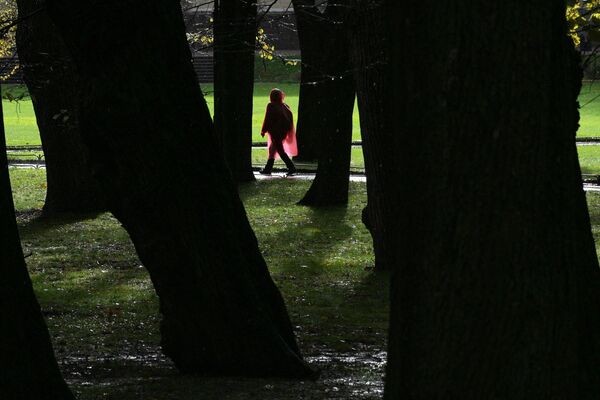 Золотые дни: как поймать волшебство осени в Северной столице