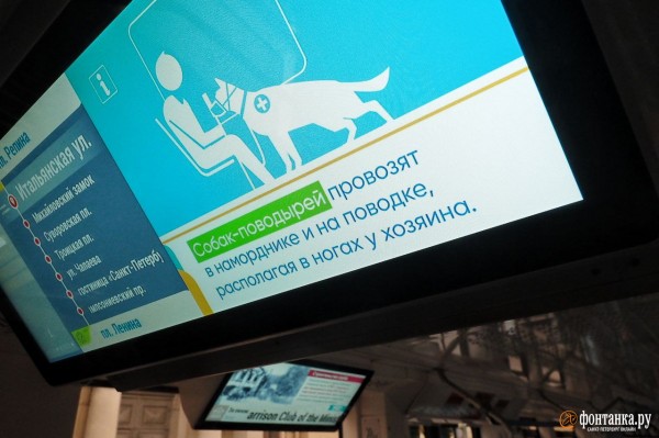 Правнук Достоевского в кабине и интерактивное окно. Петербургский ретротрамвай показали горожанам и Беглову