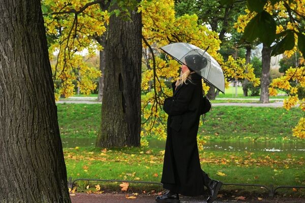 Золотые дни: как поймать волшебство осени в Северной столице