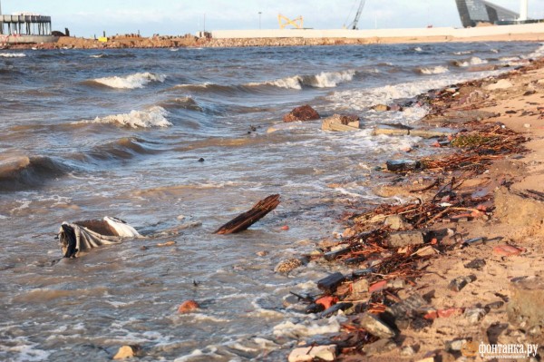 Как выглядит Парк 300-летия в Петербурге после шторма. &laquo;Фонтанка&raquo; узнала, кто и когда приведет его в порядок