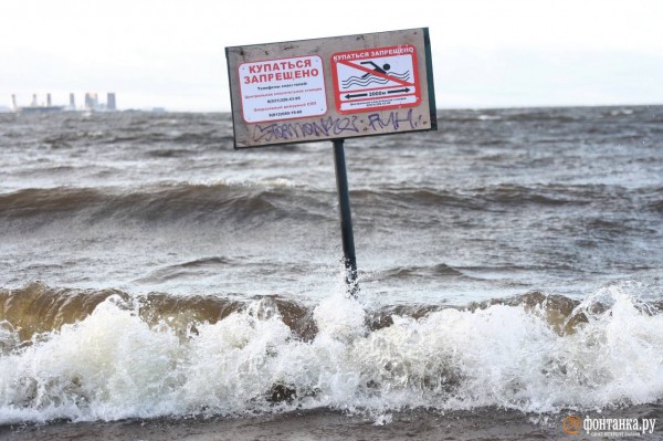 Как выглядит Парк 300-летия в Петербурге после шторма. &laquo;Фонтанка&raquo; узнала, кто и когда приведет его в порядок