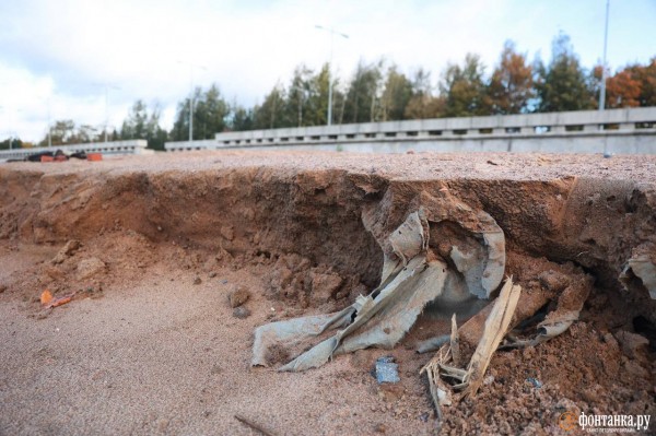 Как выглядит Парк 300-летия в Петербурге после шторма. &laquo;Фонтанка&raquo; узнала, кто и когда приведет его в порядок