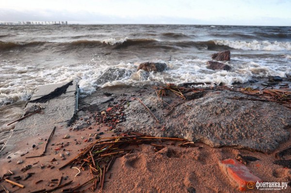 Как выглядит Парк 300-летия в Петербурге после шторма. &laquo;Фонтанка&raquo; узнала, кто и когда приведет его в порядок