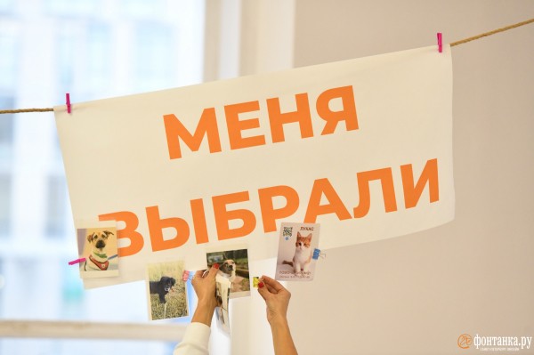 &laquo;Умом и добротой надо отличаться, а не породой&raquo;. Как в ДК Кирова животные из приютов искали себе хозяев