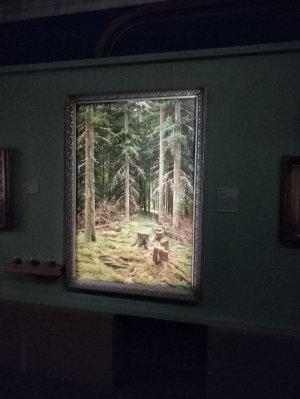 Во Владивостоке открылась масштабная межмузейная выставка Ивана Шишкина