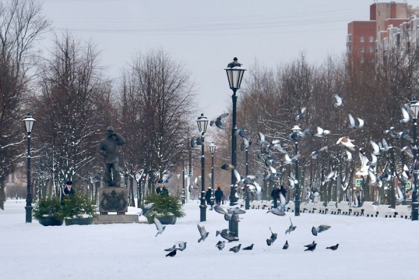 Сразу два памятника пожарным открыли в Петербурге