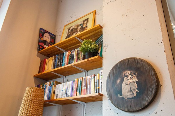 В Питере &mdash; добрые дела. История приюта и котокафе &laquo;Город кошек&raquo;