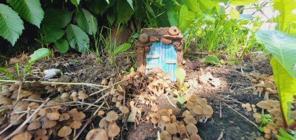 У ДК Крупской появится Долина фей