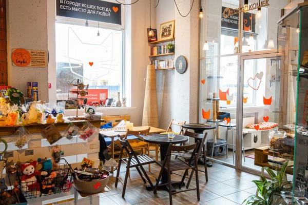 В Питере &mdash; добрые дела. История приюта и котокафе &laquo;Город кошек&raquo;