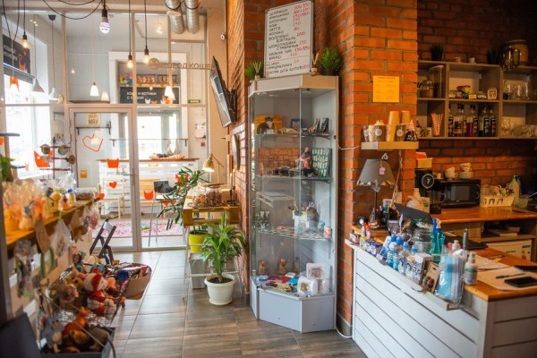 В Питере &mdash; добрые дела. История приюта и котокафе &laquo;Город кошек&raquo;