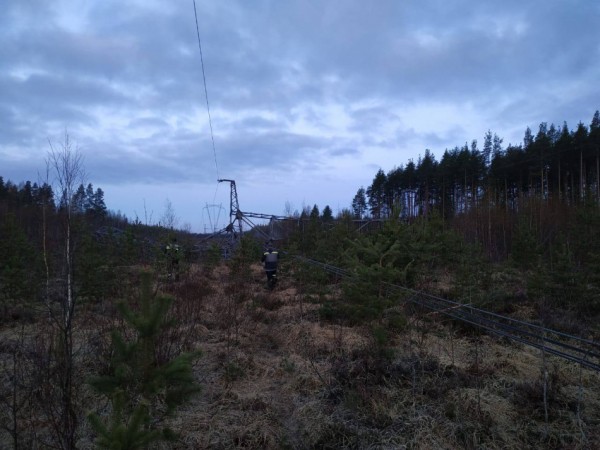 Поселок Яковлево обесточен из-за падения деревьев на ЛЭП