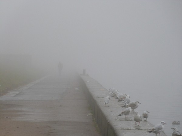 Минимальная видимость: Петербург окутал туман