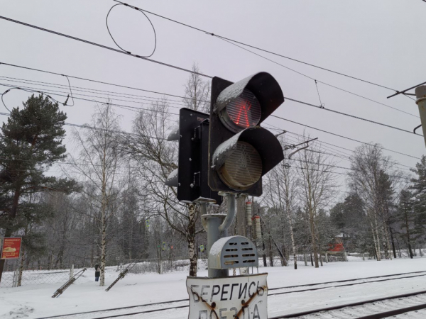 В Петербурге стартовали традиционные &laquo;Лыжные стрелы&raquo;
