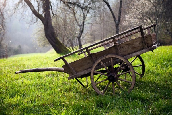 29 марта: какой сегодня праздник?