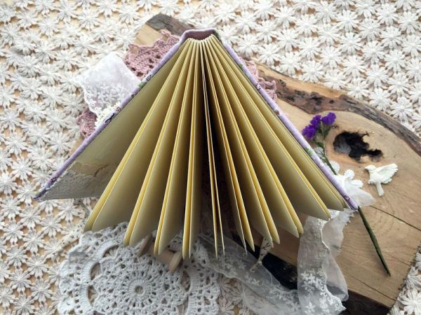 14 вещей, ради которых нужно непременно приехать в Петербург