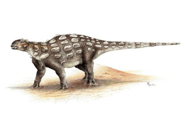 В Канаде нашли следы бронированного динозавра с хвостом-дубинкой