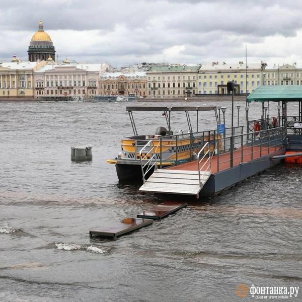 Ветер сдвинул микроавтобус и прибил машину деревом. Что творится в Петербурге &mdash; большой репортаж &laquo;Фонтанки&raquo; 
