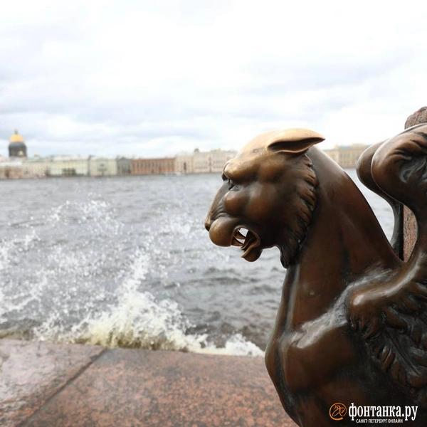 Ветер сдвинул микроавтобус и прибил машину деревом. Что творится в Петербурге &mdash; большой репортаж &laquo;Фонтанки&raquo; 