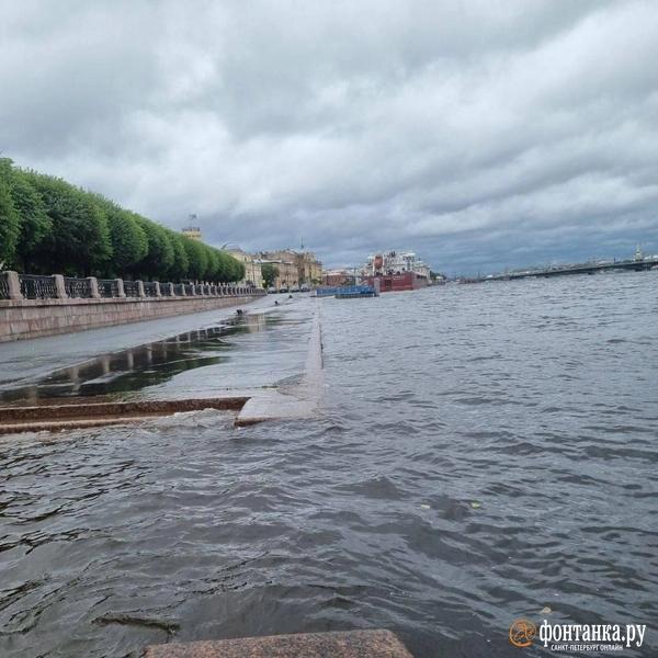 Ветер сдвинул микроавтобус и прибил машину деревом. Что творится в Петербурге &mdash; большой репортаж &laquo;Фонтанки&raquo; 