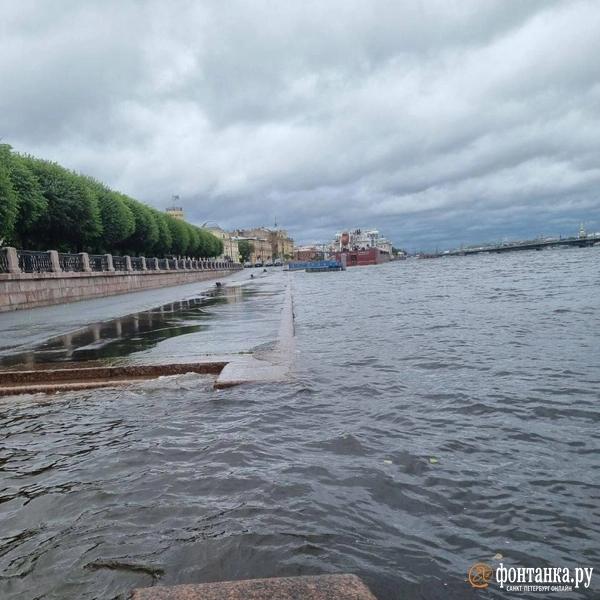 Ветер сдвинул микроавтобус и прибил машину деревом. Что творится в Петербурге &mdash; большой репортаж &laquo;Фонтанки&raquo; 
