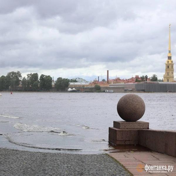Ветер сдвинул микроавтобус и прибил машину деревом. Что творится в Петербурге &mdash; большой репортаж &laquo;Фонтанки&raquo; 