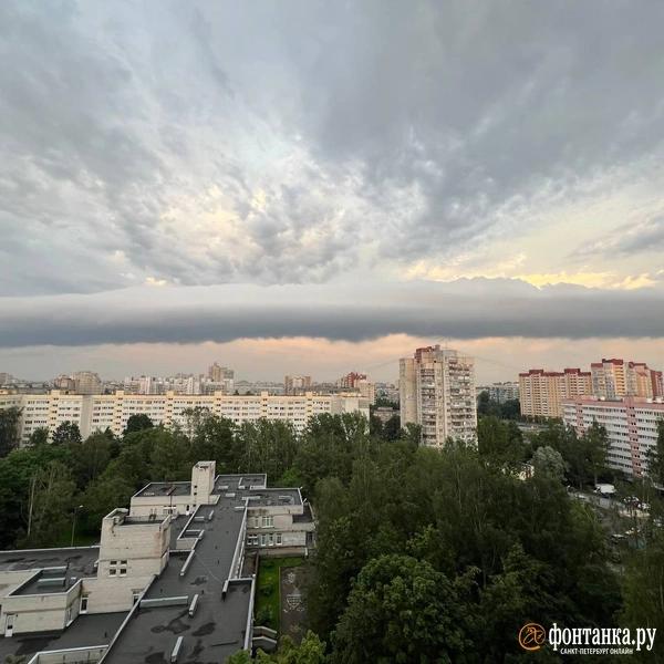 То вымя, то рулон. Небо над Петербургом весь день удивляет горожан То вымя, то рулон. Небо над Петербургом весь день удивляет горожан