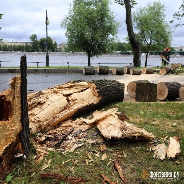 Ветер сдвинул микроавтобус и прибил машину деревом. Что творится в Петербурге &mdash; большой репортаж &laquo;Фонтанки&raquo; 