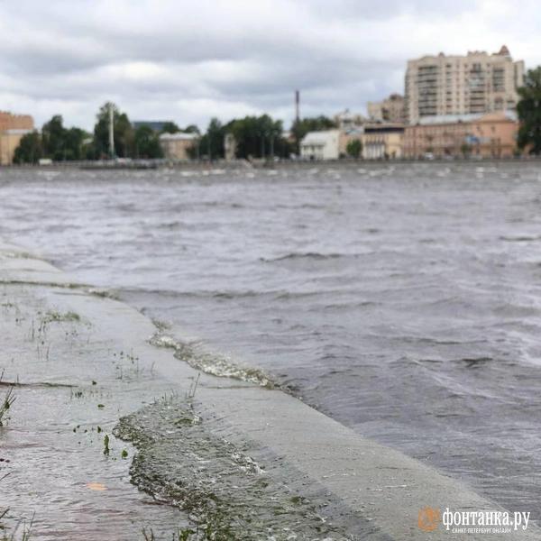 Ветер сдвинул микроавтобус и прибил машину деревом. Что творится в Петербурге &mdash; большой репортаж &laquo;Фонтанки&raquo; 