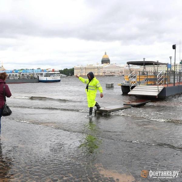 Ветер сдвинул микроавтобус и прибил машину деревом. Что творится в Петербурге &mdash; большой репортаж &laquo;Фонтанки&raquo; 