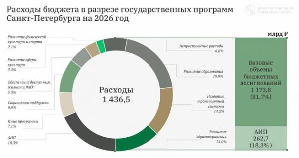 Знакомьтесь, это Боба. Из чего собирают бюджет Петербурга 2026 года