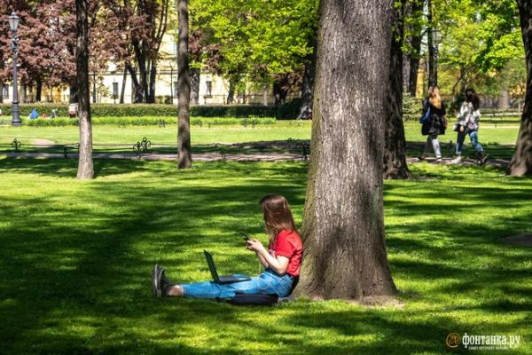 Не все самозанятые одинаково полезны. Власти Петербурга усиливают борьбу с &laquo;нетрадиционными&raquo; трудовыми отношениями