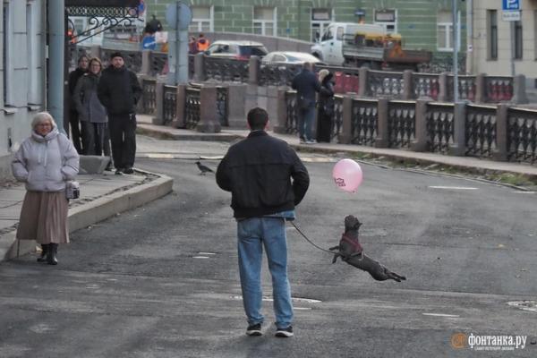 Куда пойти 24&ndash;26 октября: премьера в Александринском театре, урбанистический &laquo;Архитектон&raquo; и &laquo;растения-соблазнители&raquo;